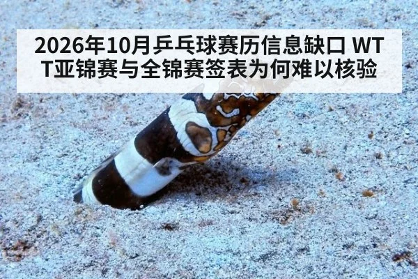 2026年10月乒乓球赛历信息缺口 WTT亚锦赛与全锦赛签表为何难以核验
